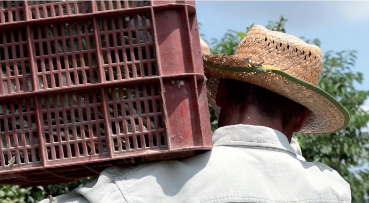 El proyecto hace hincapié en los riesgos laborales de la población extranjera