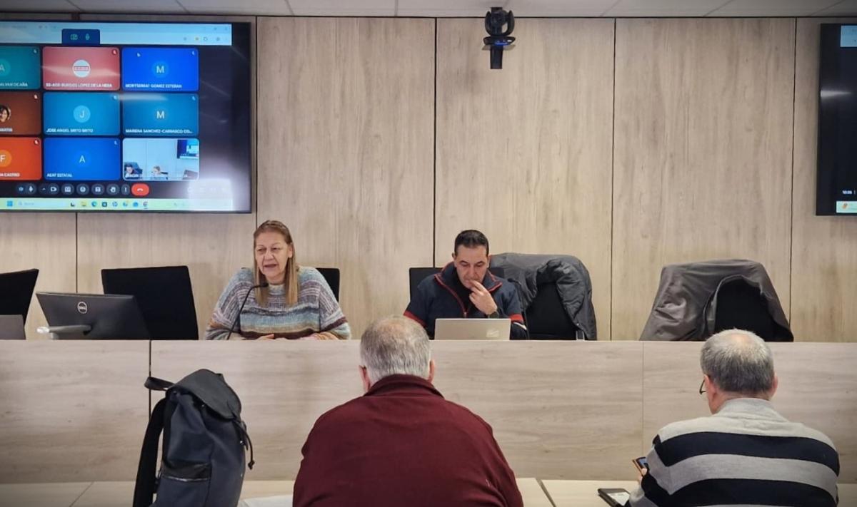 Plenario Comunicación SAE FSC-CCOO