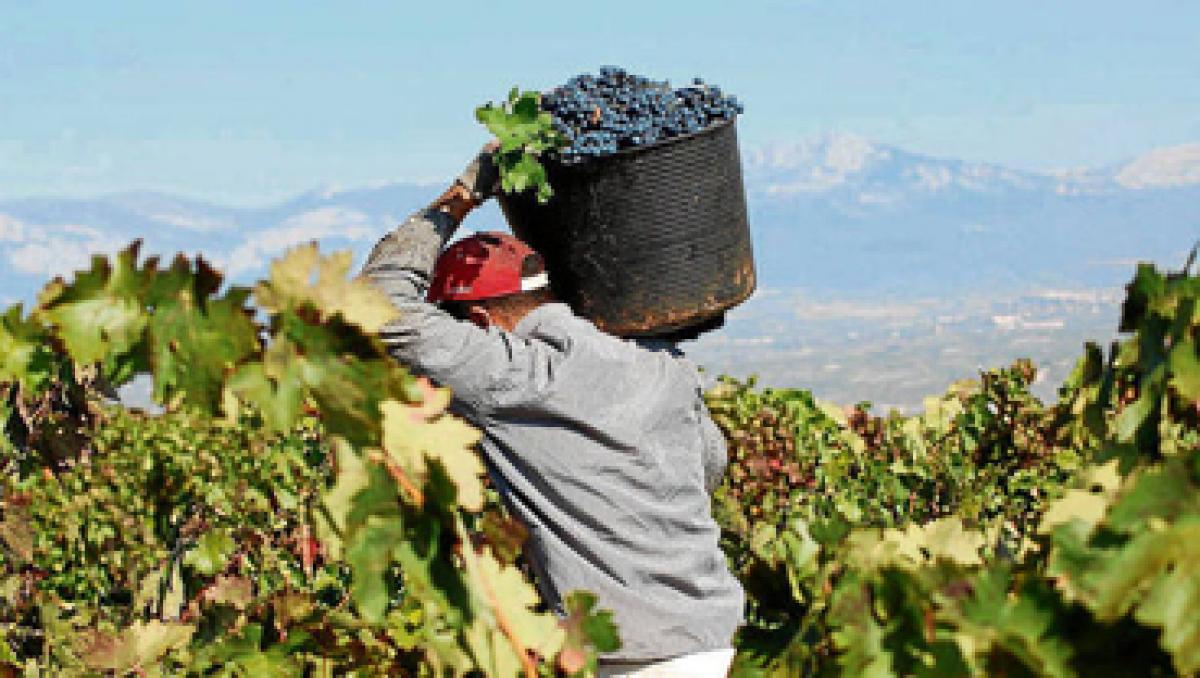 El ingreso medio por 15 días de trabajo oscila entre los 1.400 y los 1.650 euros