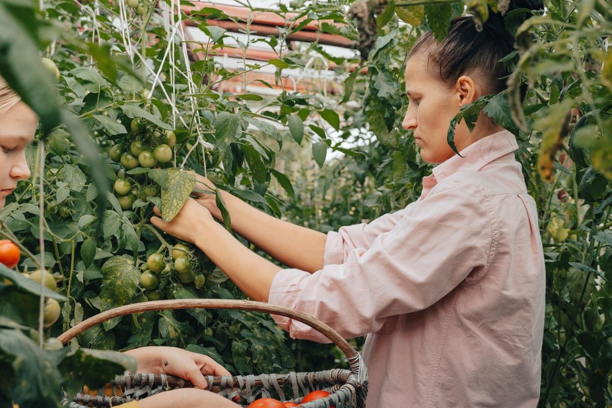 El 65% de las trabajadoras agrarias por cuenta ajena tiene contrato temporal