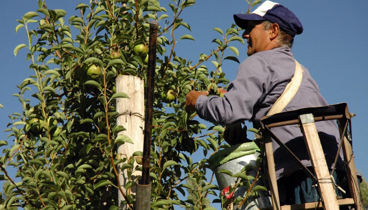 Gran parte del paro se concentra en Andalucía