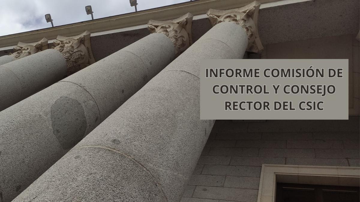 Informe Comisin de Control y Consejo Rector del CSIC