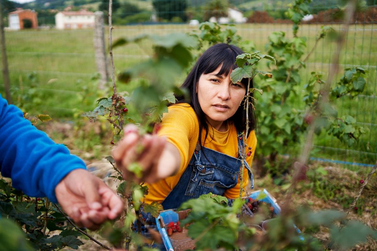 Se cambia el modelo de contratos temporales por la contratación fija-discontinua