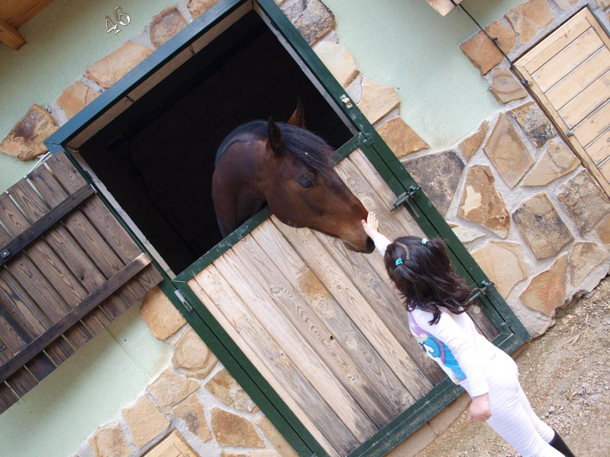 Campamento de Verano de “Aventura y Naturaleza”.