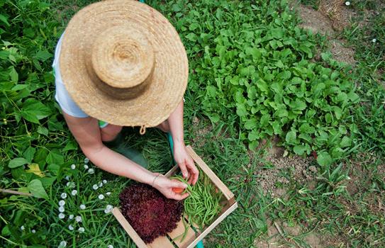 En el campo se crean empleos temporales y de baja calidad