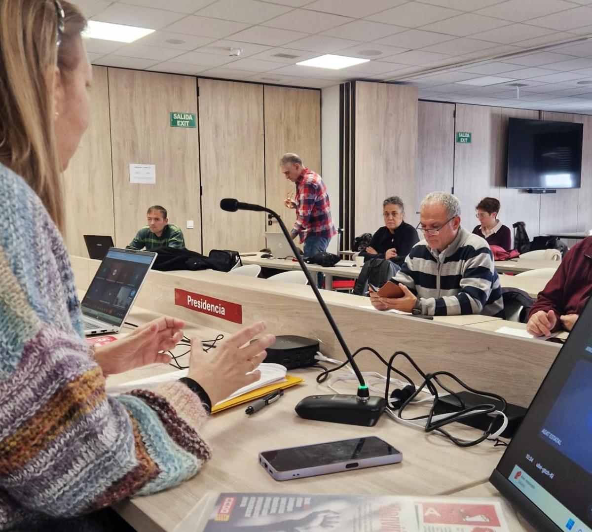 Plenario Comunicación SAE FSC-CCOO