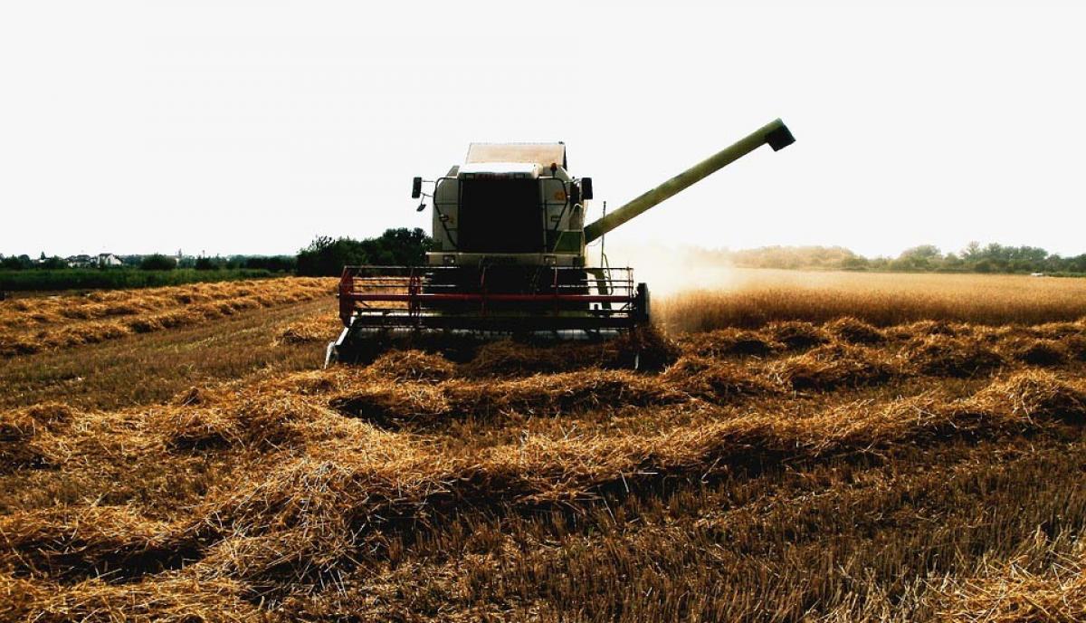 Fue el 3 de noviembre cuando los sindicatos pidieron a Fátima Bañez una reunión urgente para abordar esta situación