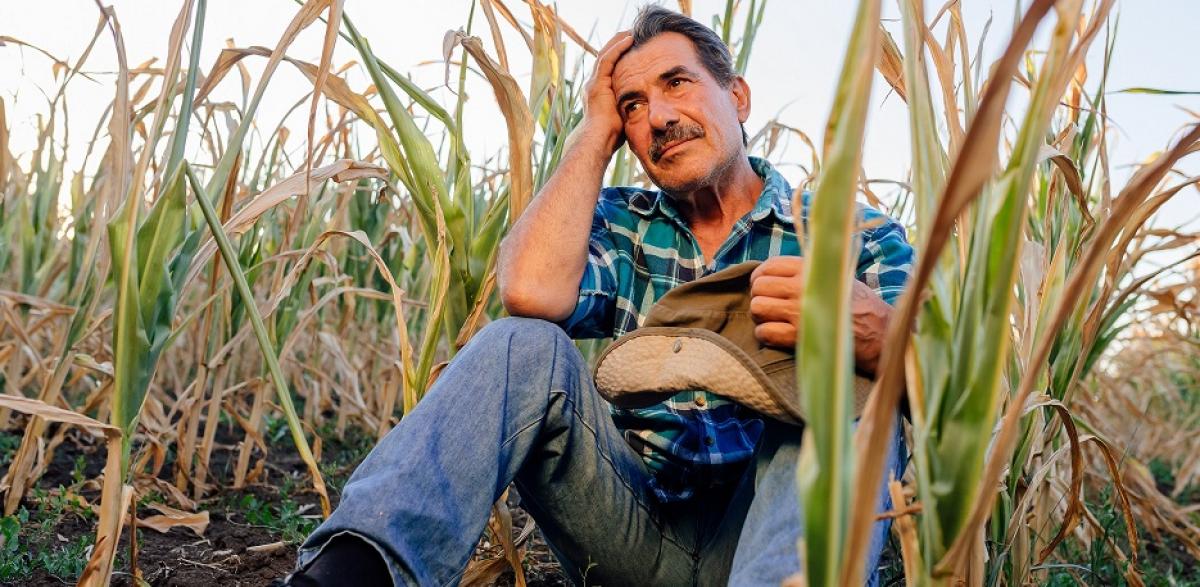 Urge extremar las medidas de precaución ante las olas de calor