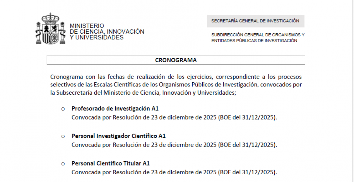 Cronograma