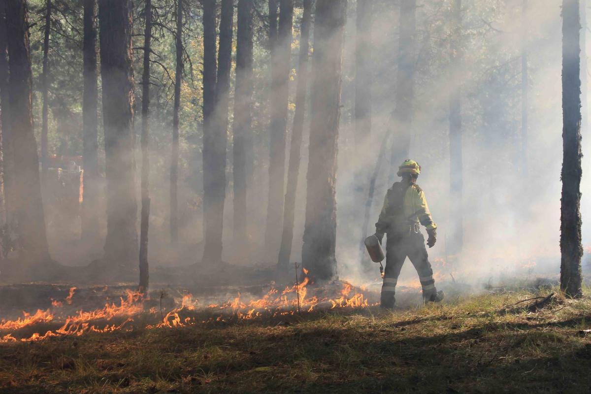 Bombero haciendo un contrafuego en Cuenca