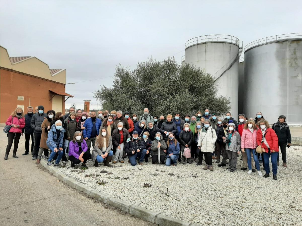 Salida Taller de Medio Ambiente al Museo del Aceite  Mora y molinos en Consuegra