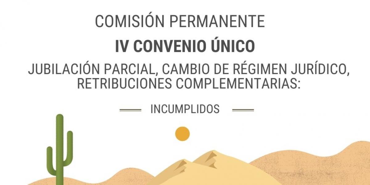 Comisión Permanente IV CUAGE.