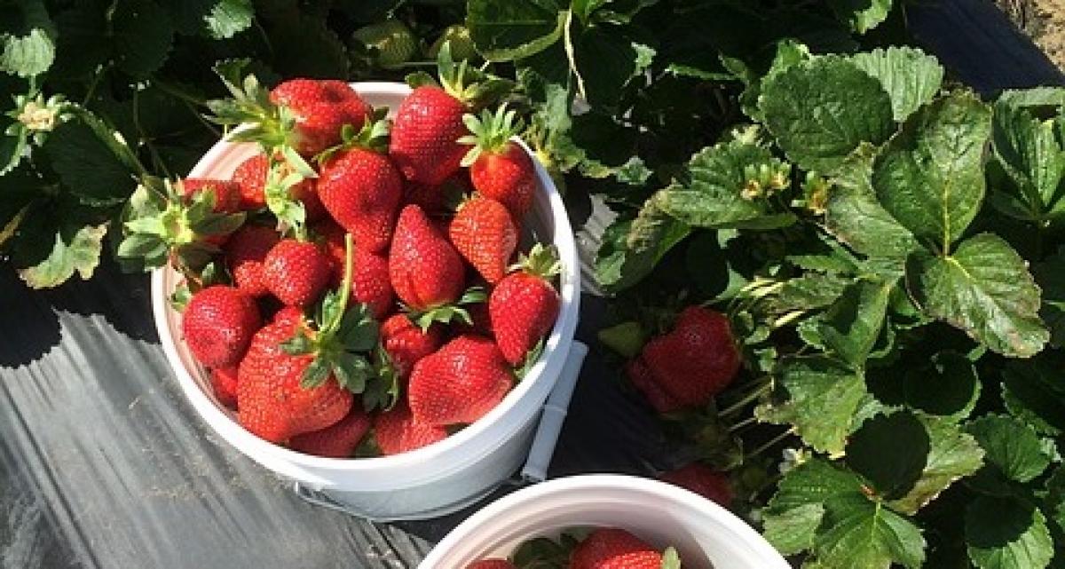 CCOO solicitará una reunión urgente entre los empresarios, la Administración y los agentes sociales