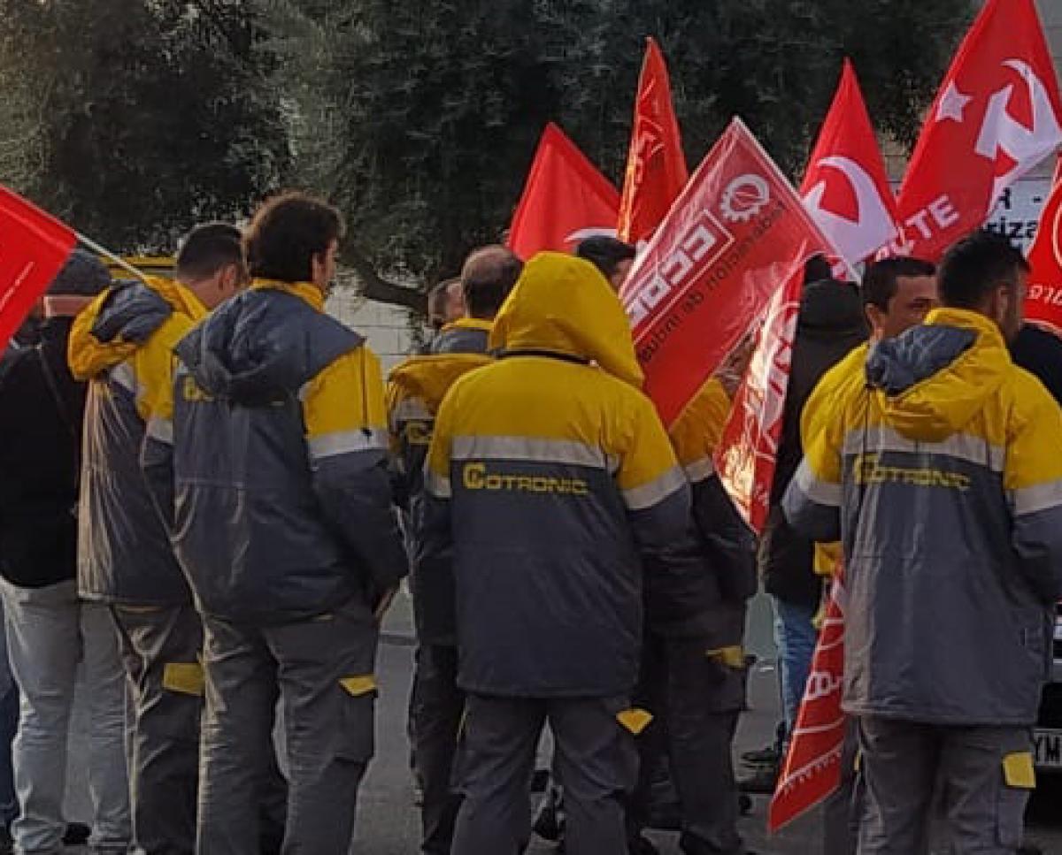 Parte de la plantilla de Cotronic de Málaga, durante una concentración