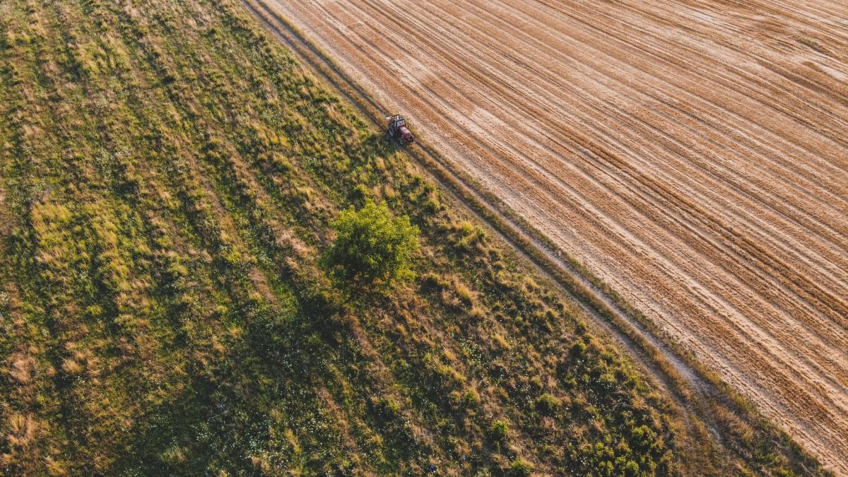 Imagen de campo (Pexels)