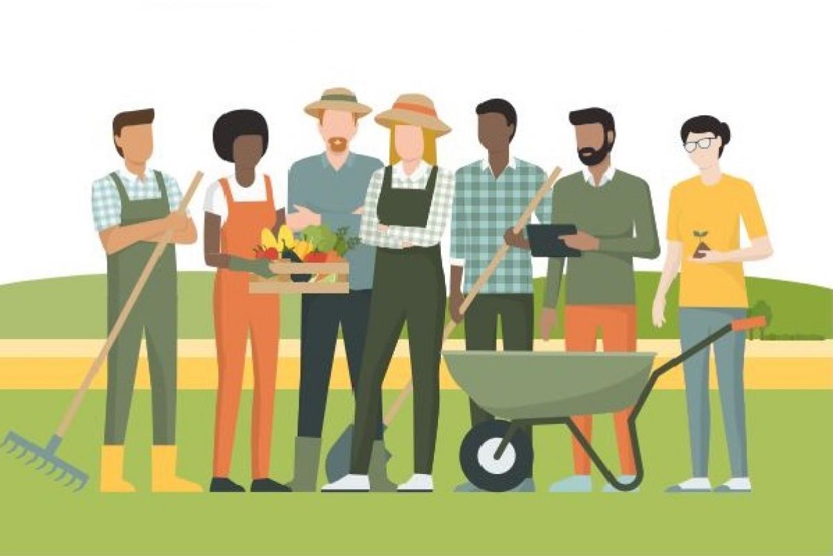 La guía se editará en castellano, rumano y árabe