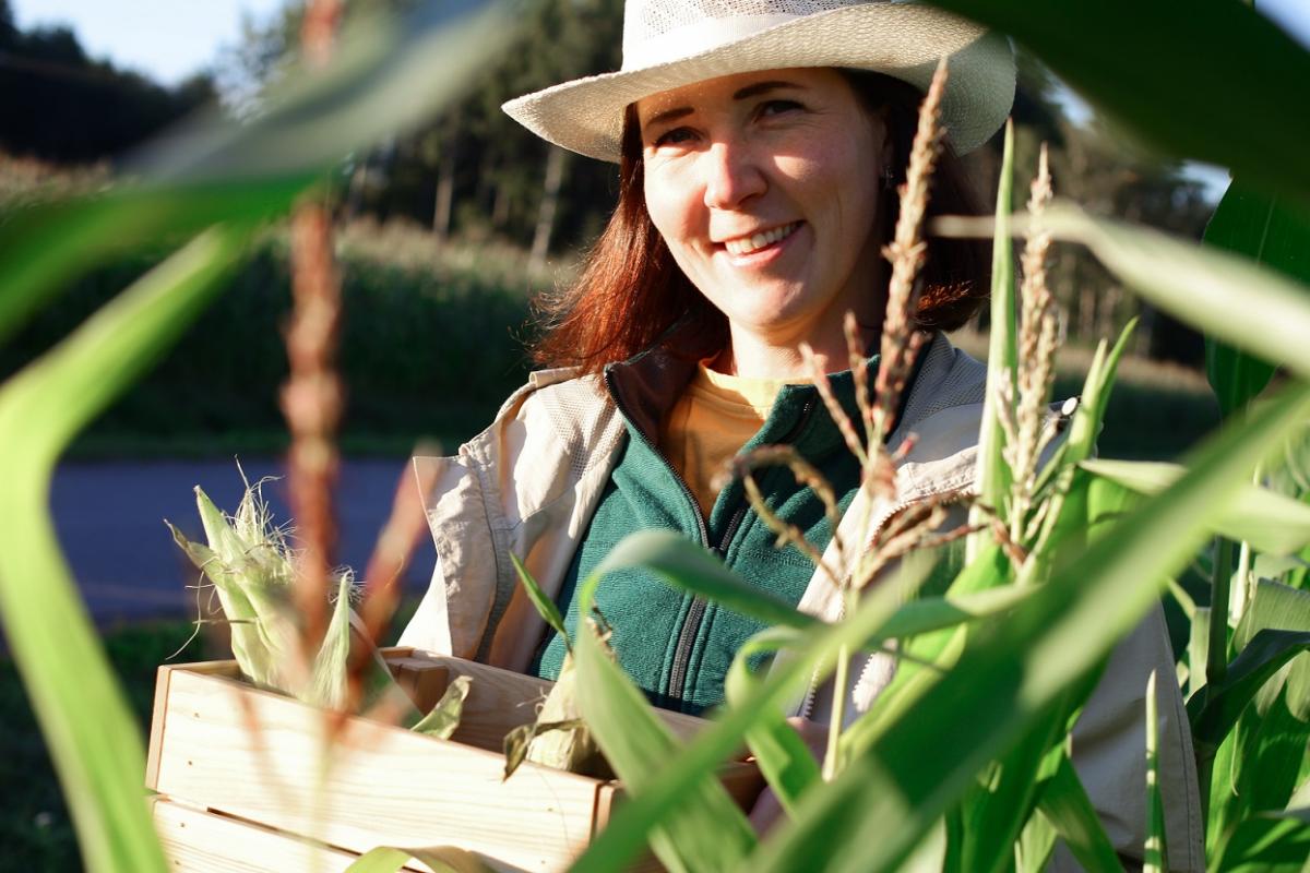 La afiliación a la Seguridad Social cayó un 4,66%
