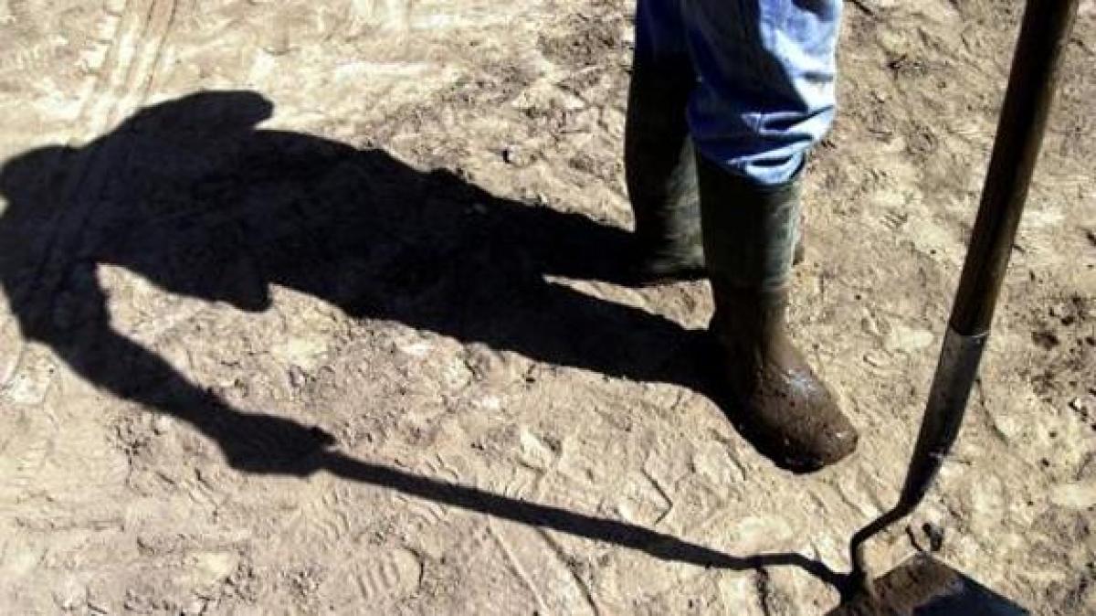 Cae la actividad agraria y debe aumentar la contratación