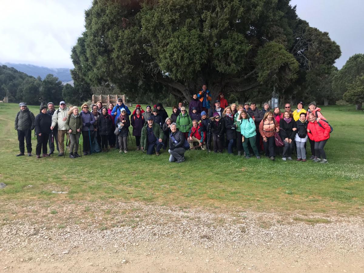 El Taller de Medioambiente de CCOO de Madrid en el acebal de Prádena