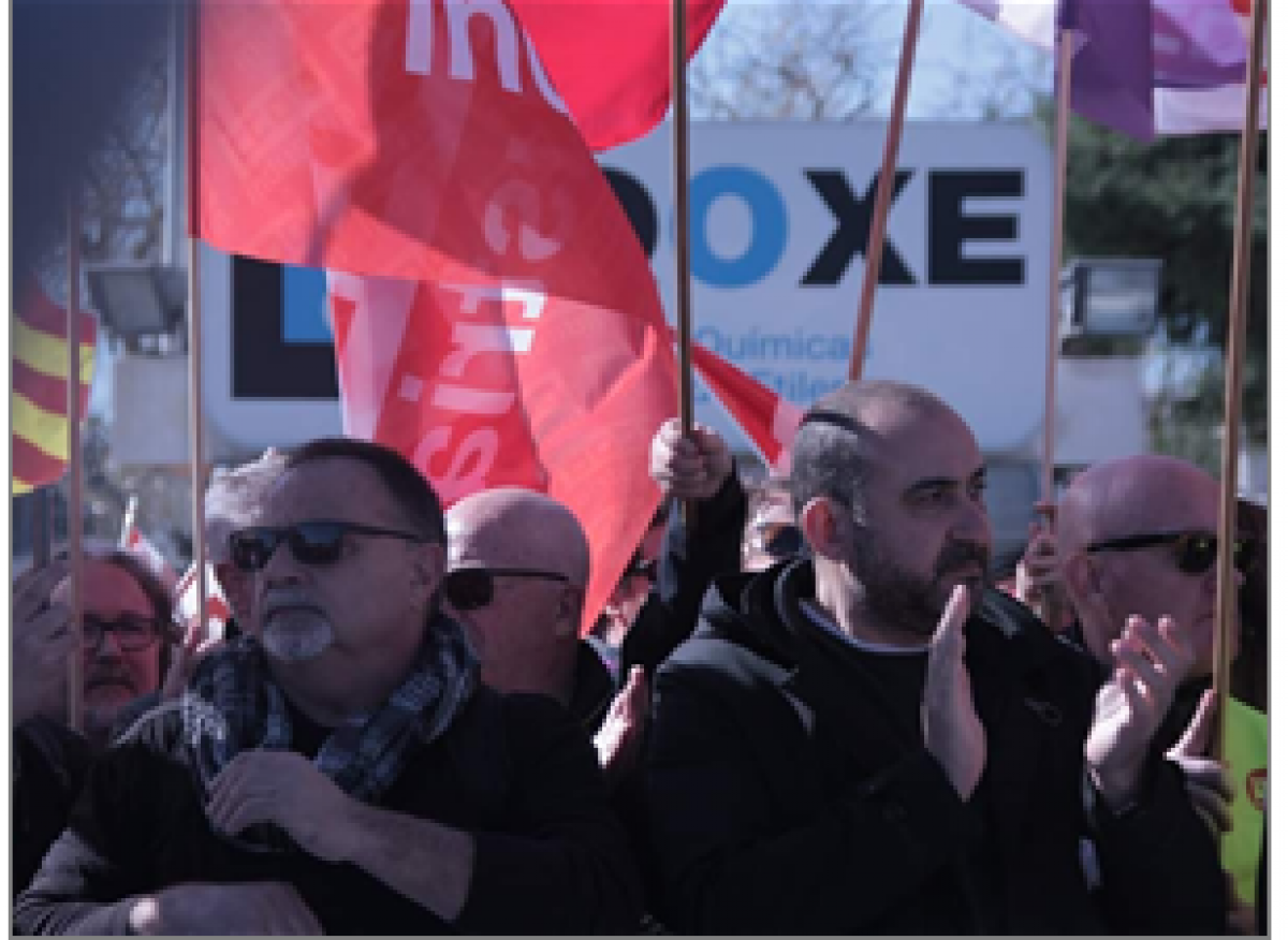 Imagen de la manifestacón