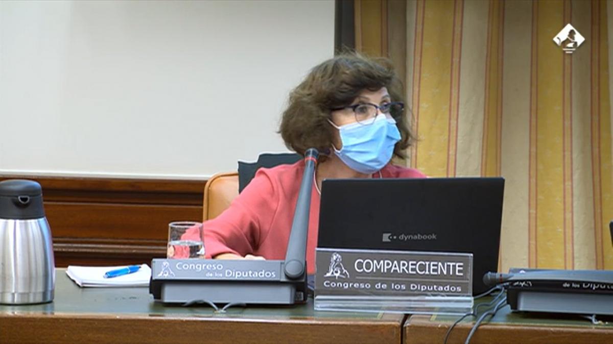 Alicia Durán de CCOO informa sobre la situación de la I+D+i, su personal y la Ley de la Ciencia en el Congreso de los Diputados.