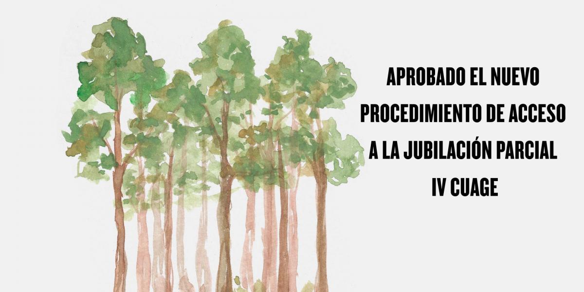 Jubilación Parcial IV CUAGE