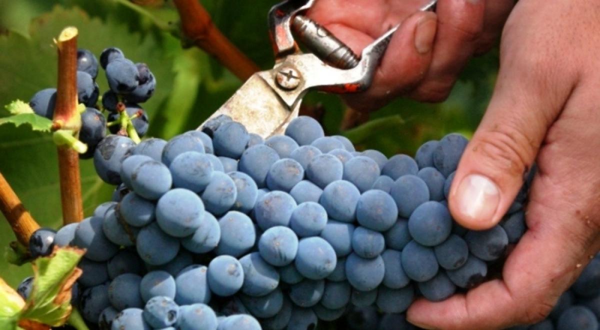 Para eliminar el fraude es necesario que se controlen las jornadas reales