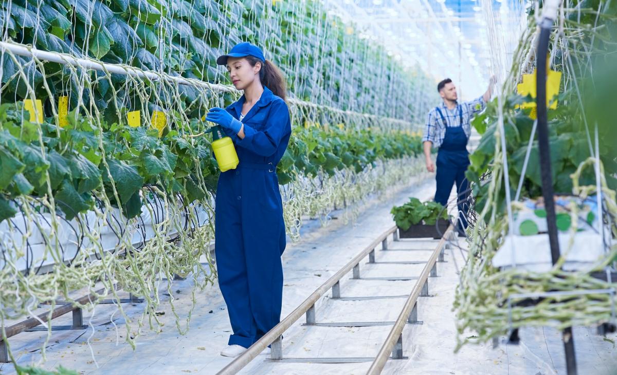 Andalucía registró el mayor volumen de desempleo agrario