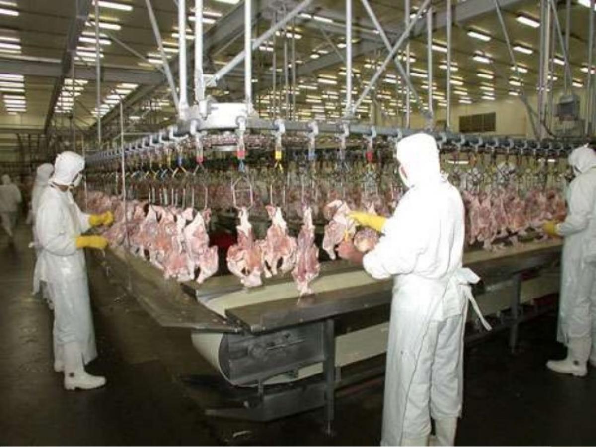 20161020.Industria.Conveniomataderosavesyconejos