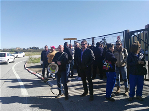 Movilización sm pack ibérica