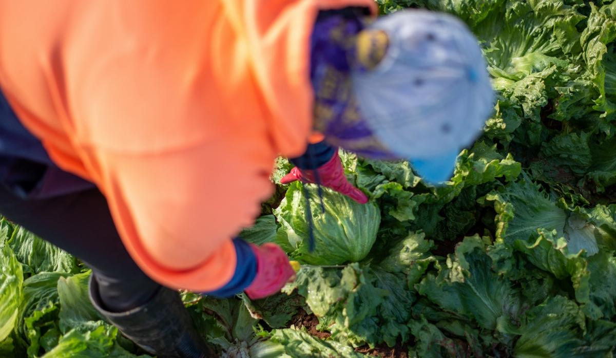 Son necesarios salarios dignos y decentes para hacer atractivo el sector