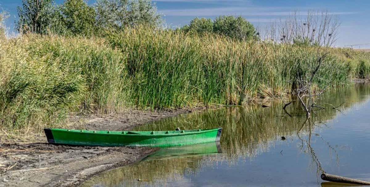 La Ley contiene un gran desequilibrio