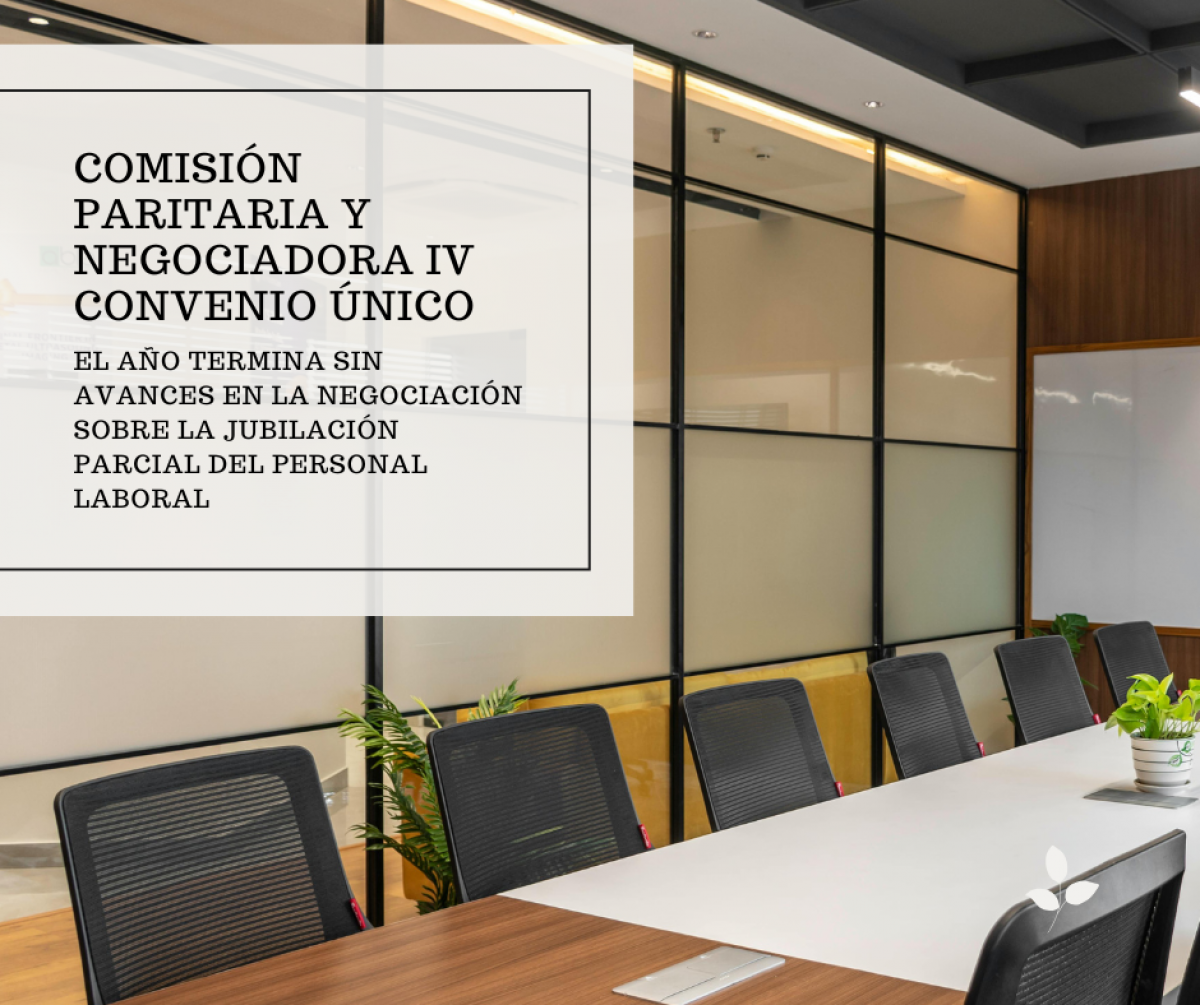 Comisión Paritaria y Negociadora IV Convenio