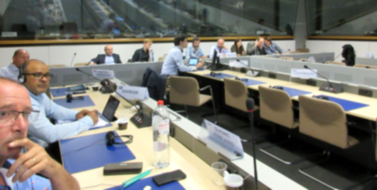 Comité de Diálogo Social Europeo del Sector Naval